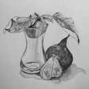 ein mit Bleistift gezeichnetes Stillleben mit einer Vase und Früchten