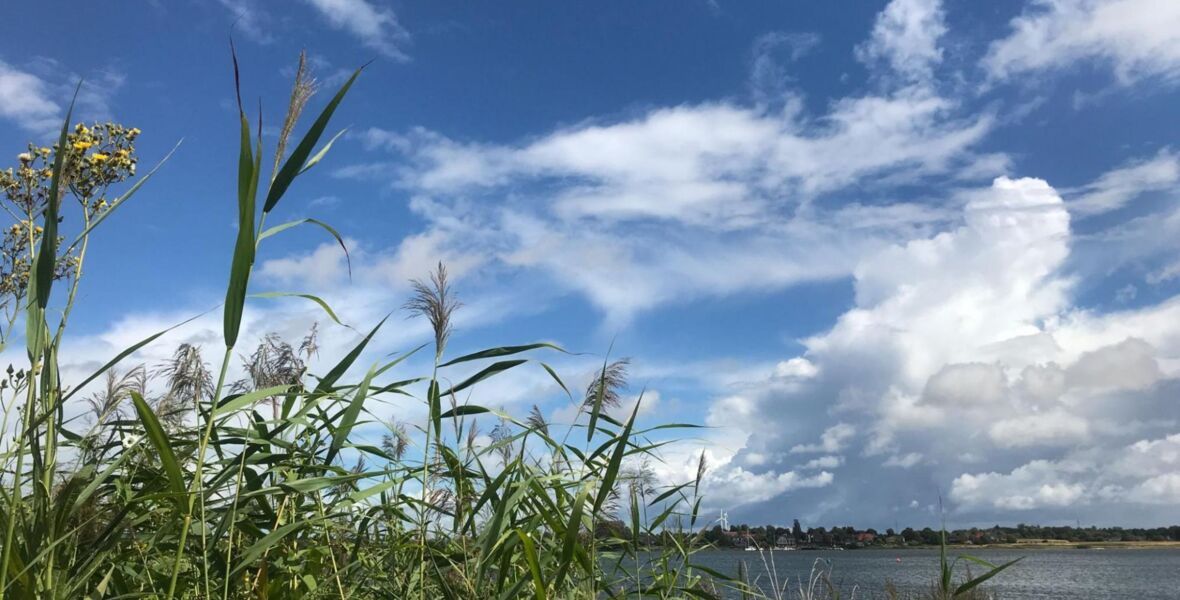 Das Foto zeigt die Schlei mit Himmel, weißen Wolken und Schilf von der Fotografin Claudia Henzler zu sehen.