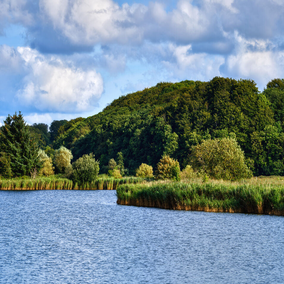 Landschaft mit Wasser und Wald.