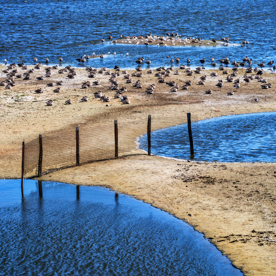 Eine Landschaftsfotografie von Mark Robertz.