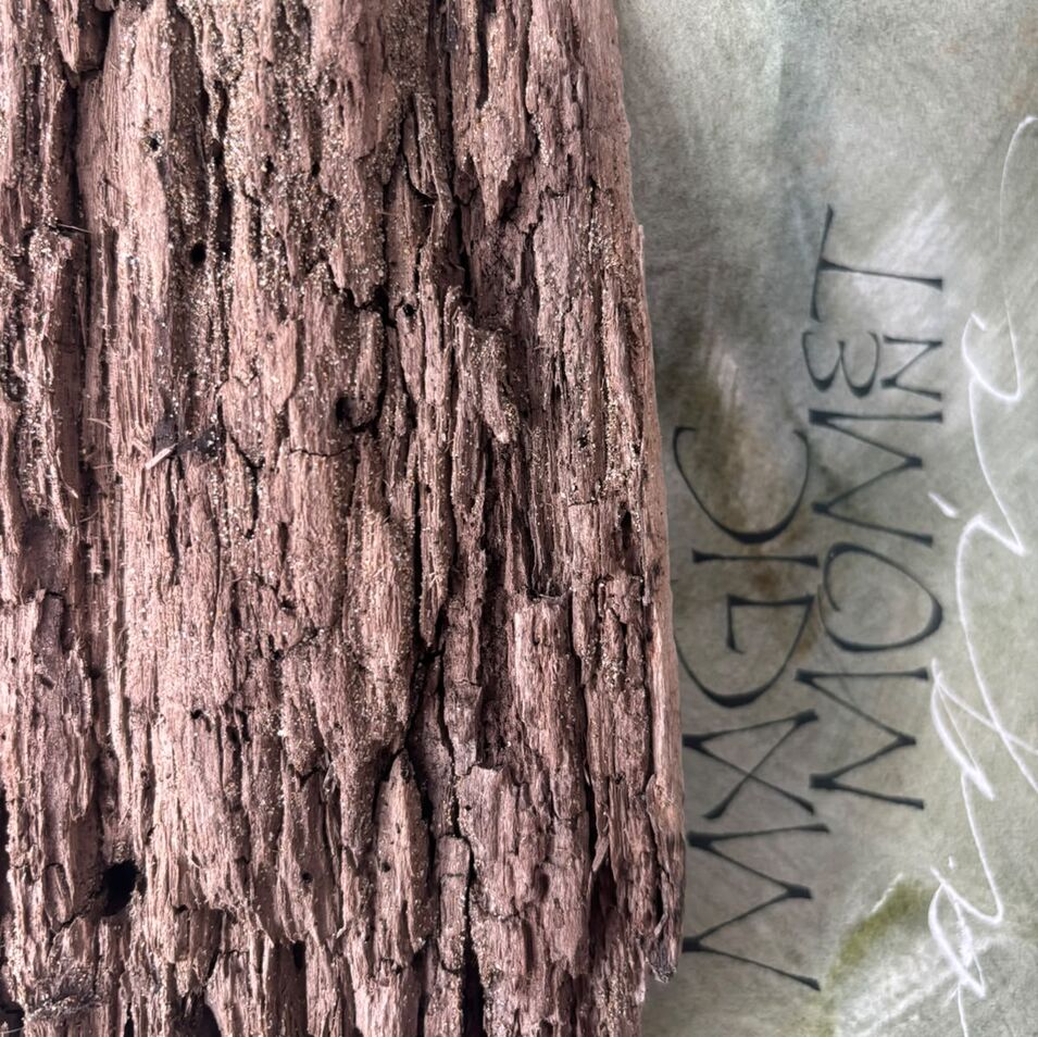 Jasna Wittmann Baumrinde in Kombination mit Kalligrafie.