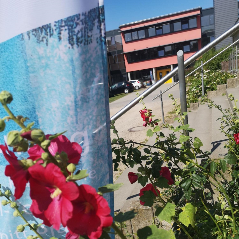Das Foto zeigt die Fahne und einen Blick auf den Eingang der Schlei-Akademie. Das Foto zeigt die Fahne und den Eingang der Schlei-Akademie.