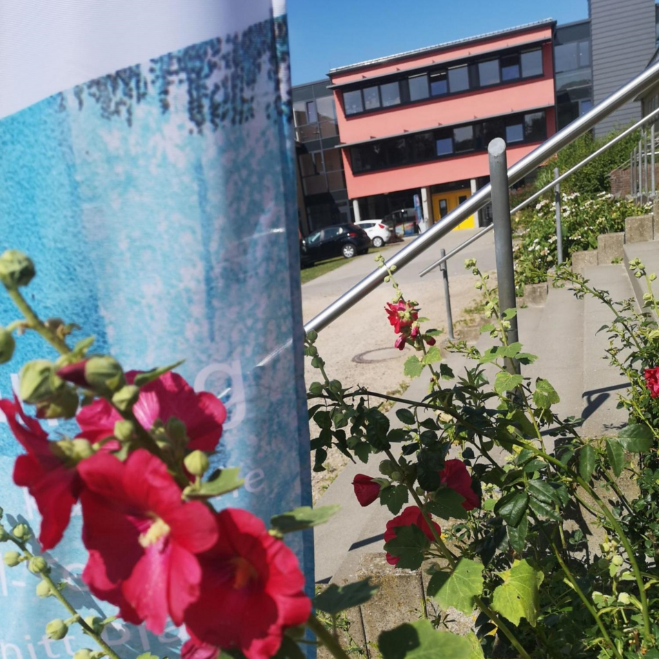 Das Foto zeigt die Fahne und den Eingang der Schlei-Akademie.