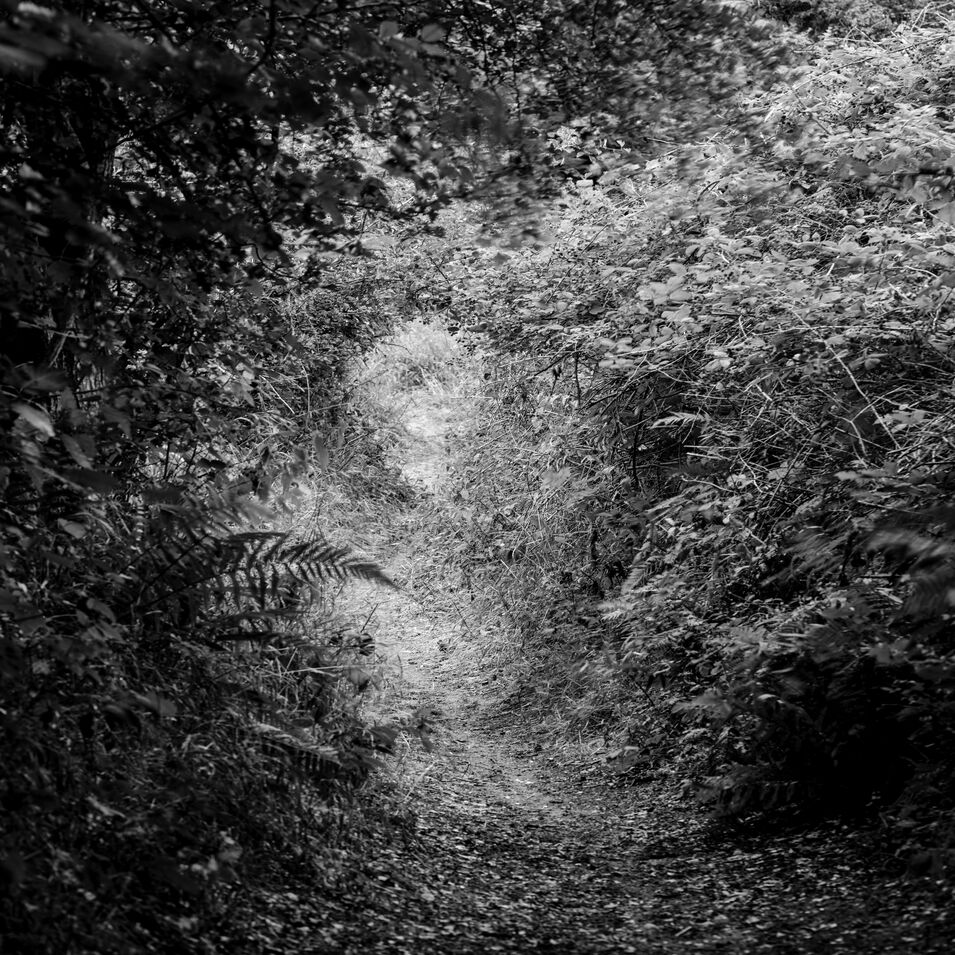 Eine Landschaftsfotografie in schwarz-weiß von Mark Robertz.