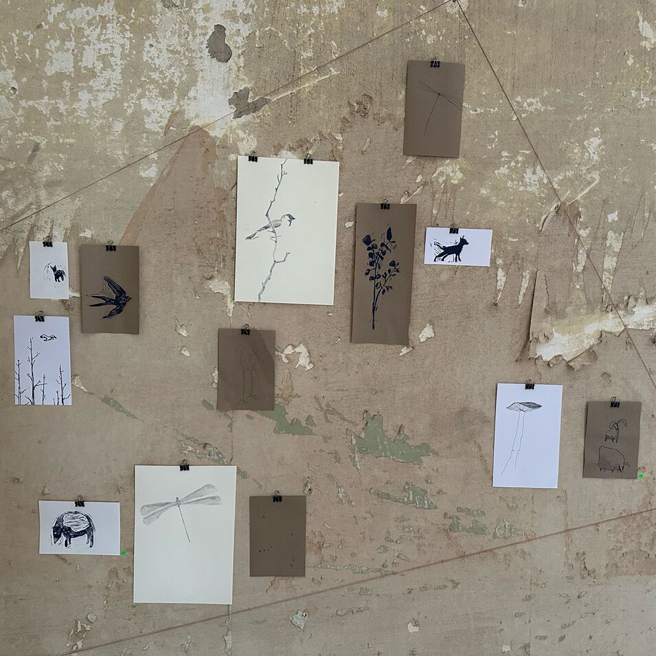 Collagen von Janine Tüchsen, angeordnet auf einer grauen Wand