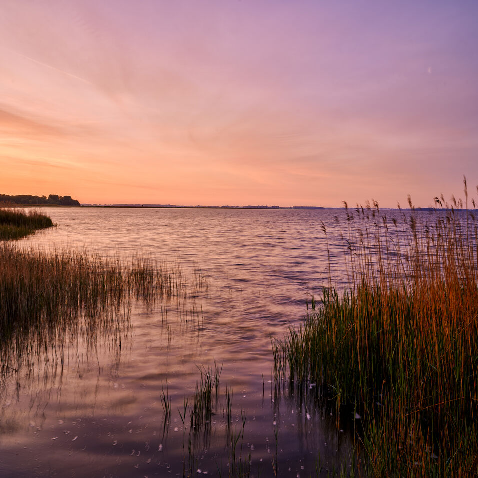 Die Schlei im Morgenrot.
