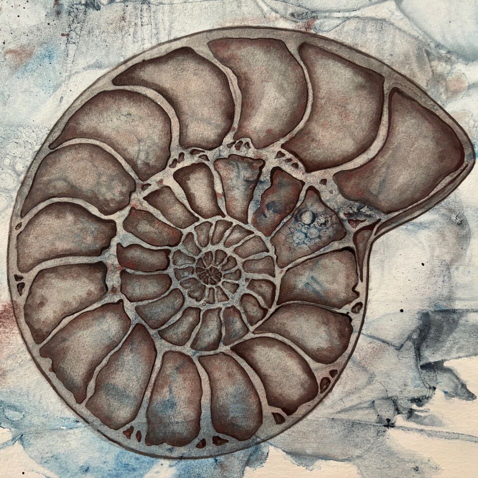 Ein Aquarell mit einem Schneckenhaus.