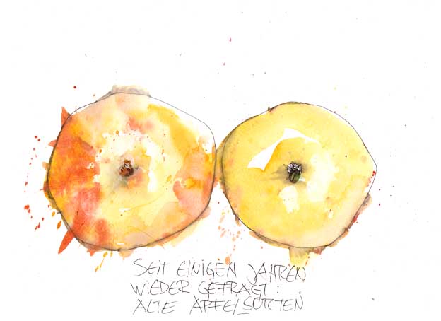 2 Äpfel